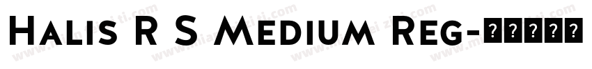 Halis R S Medium Reg字体转换
